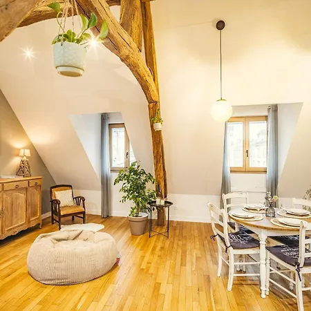 Coeur De Reve - 5min Hypercentre Apartmán Troyes